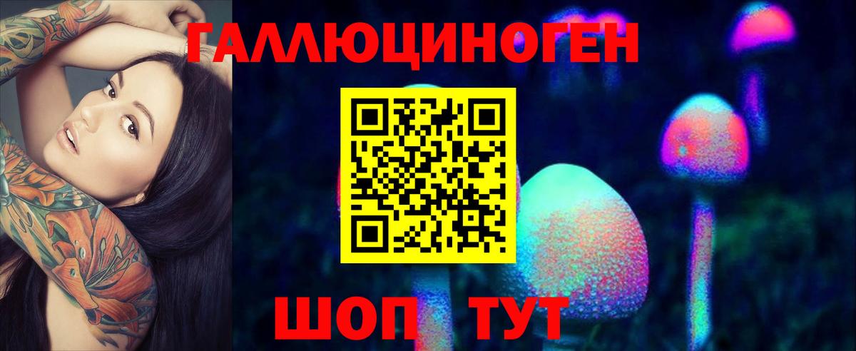 закладка  Галлюциногенные грибы MAGIC MUSHROOMS  Вход с VPN  Галлюциногенные грибы Psilocybine cubensis  Гуково 